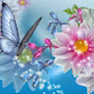 Meet your Posher, Sherry